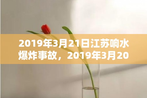 2019年3月21日江苏响水爆炸事故，2019年3月20号出生的双胞胎女孩起什么名好,五行属什么?