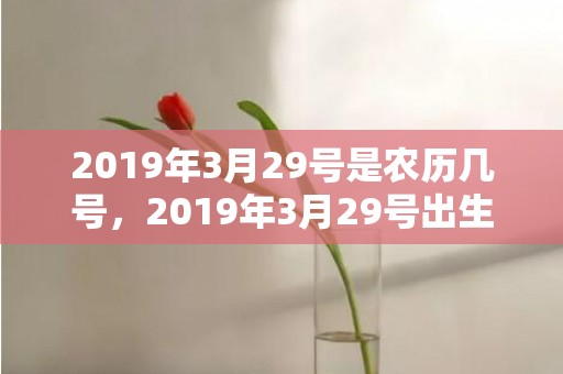 2019年3月29号是农历几号，2019年3月29号出生的双胞胎女孩起什么名字好，五行属什么？