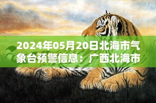 2024年05月20日北海市气象台预警信息：广西北海市发布雷电黄色预警