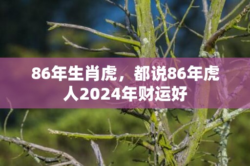 86年生肖虎，都说86年虎人2024年财运好