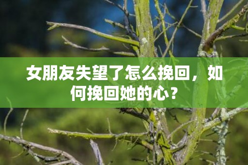 女朋友失望了怎么挽回，如何挽回她的心？