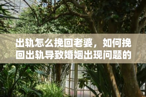 出轨怎么挽回老婆，如何挽回出轨导致婚姻出现问题的老婆？