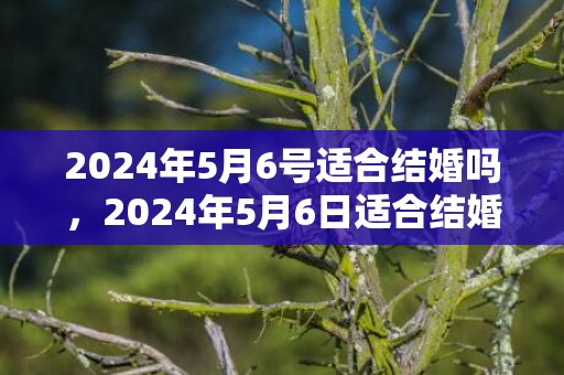 2024年5月6号适合结婚吗，2024年5月6日适合结婚吗