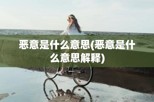 恶意是什么意思(恶意是什么意思解释)