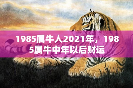 1985属牛人2021年，1985属牛中年以后财运