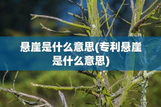 悬崖是什么意思(专利悬崖是什么意思)