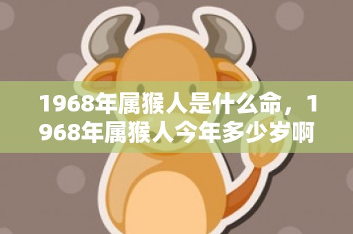 1968年属猴人是什么命，1968年属猴人今年多少岁啊