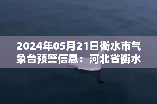 2024年05月21日衡水市气象台预警信息：河北省衡水市发布雷电黄色预警