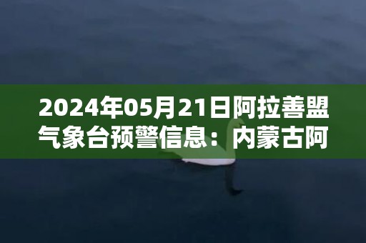 2024年05月21日阿拉善盟气象台预警信息：内蒙古阿拉善盟发布大风蓝色预警