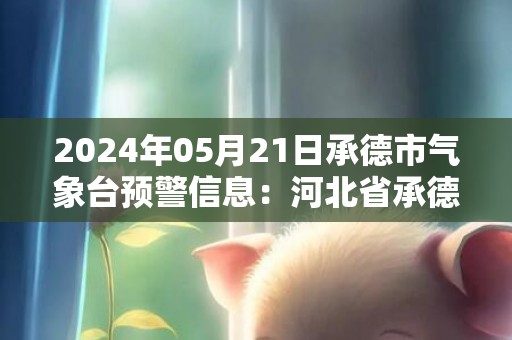 2024年05月21日承德市气象台预警信息：河北省承德市发布雷电黄色预警