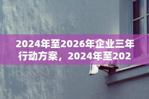 2024年至2026年企业三年行动方案，2024年至2024年三九天时间表