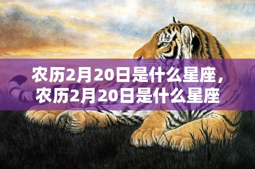 农历2月20日是什么星座，农历2月20日是什么星座