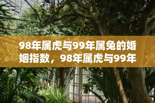 98年属虎与99年属兔的婚姻指数，98年属虎与99年属兔的婚姻是否相配