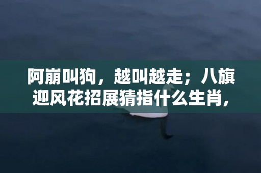 阿崩叫狗，越叫越走；八旗迎风花招展猜指什么生肖,谜语释义解释落实插图