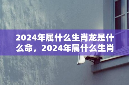 2024年属什么生肖龙是什么命，2024年属什么生肖合适要孩子