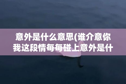 意外是什么意思(谁介意你我这段情每每碰上意外是什么意思)