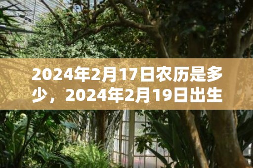 2024年2月17日农历是多少，2024年2月19日出生的宝宝好不好