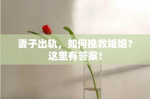 妻子出轨，如何挽救婚姻？这里有答案！