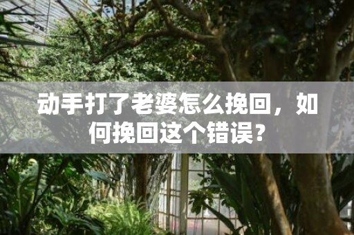 动手打了老婆怎么挽回，如何挽回这个错误？