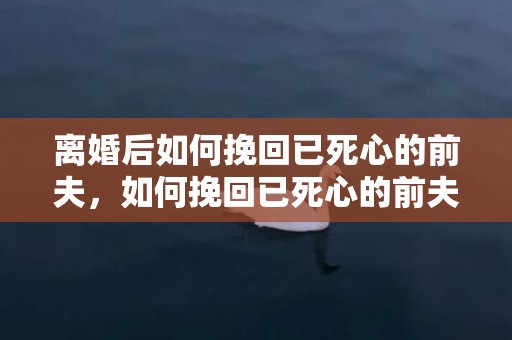 离婚后如何挽回已死心的前夫，如何挽回已死心的前夫？