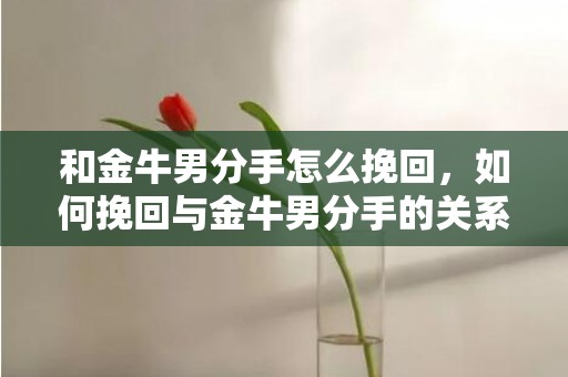 和金牛男分手怎么挽回，如何挽回与金牛男分手的关系？