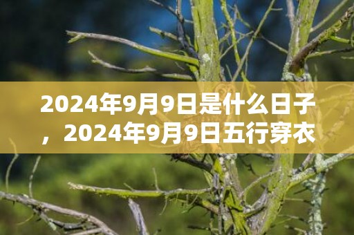 2024年9月9日是什么日子，2024年9月9日五行穿衣