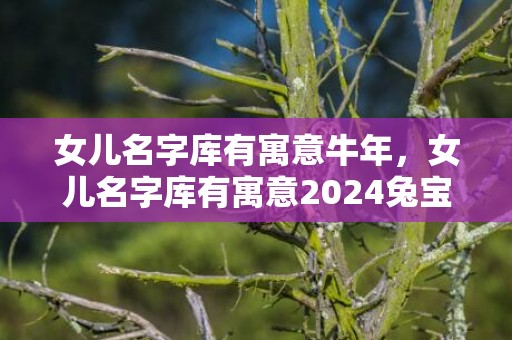 女儿名字库有寓意牛年，女儿名字库有寓意2024兔宝宝