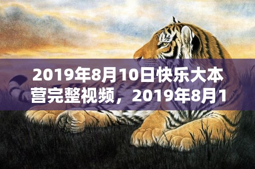 2019年8月10日快乐大本营完整视频，2019年8月15号亥时出生的男孩生辰八字是什么