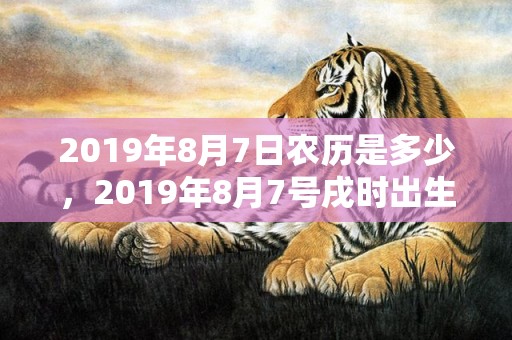 2019年8月7日农历是多少，2019年8月7号戌时出生的男孩五行属什么