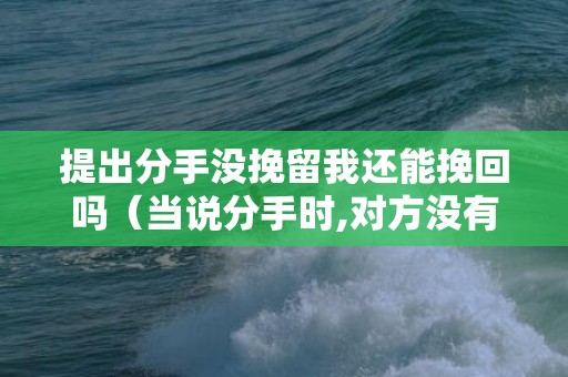 提出分手没挽留我还能挽回吗（当说分手时,对方没有挽留是什么心理）