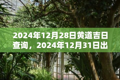 2024年12月28日黄道吉日查询，2024年12月31日出生的女孩命好不好