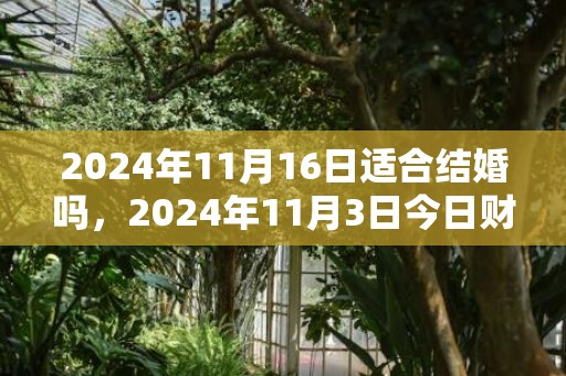 2024年11月16日适合结婚吗，2024年11月3日今日财神方位