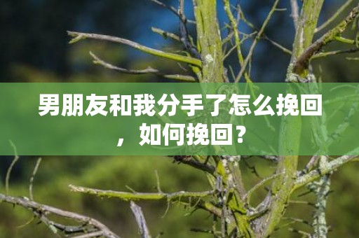 男朋友和我分手了怎么挽回，如何挽回？