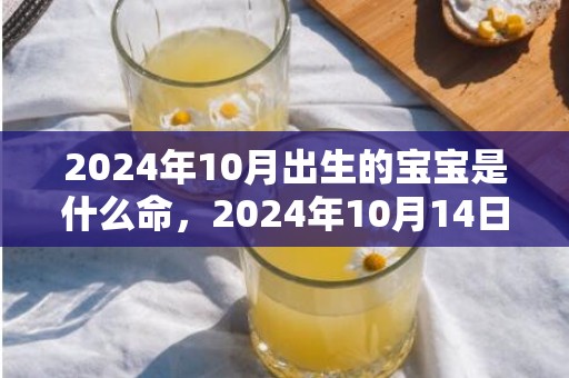 2024年10月出生的宝宝是什么命，2024年10月14日可不可以搬家乔迁