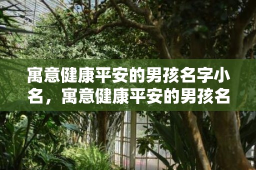 寓意健康平安的男孩名字小名，寓意健康平安的男孩名字大全