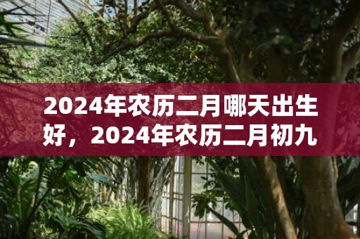 2024年农历二月哪天出生好，2024年农历二月初九适不适合结婚