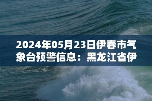 2024年05月23日伊春市气象台预警信息：黑龙江省伊春市发布大风蓝色预警