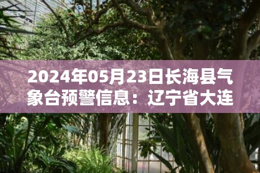 2024年05月23日长海县气象台预警信息：辽宁省大连市长海县发布大雾橙色预警