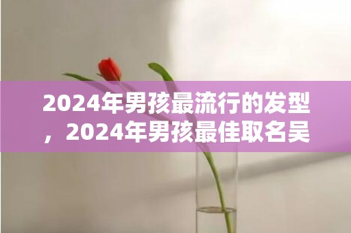 2024年男孩最流行的发型，2024年男孩最佳取名吴