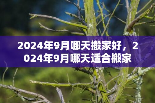 2024年9月哪天搬家好，2024年9月哪天适合搬家