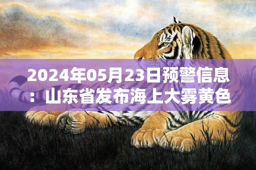 2024年05月23日预警信息：山东省发布海上大雾黄色预警