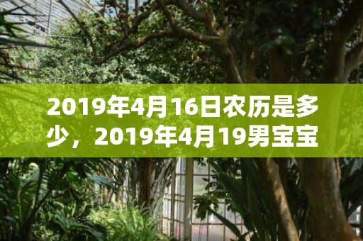 2019年4月16日农历是多少，2019年4月19男宝宝五行缺火男孩取名字怎么好