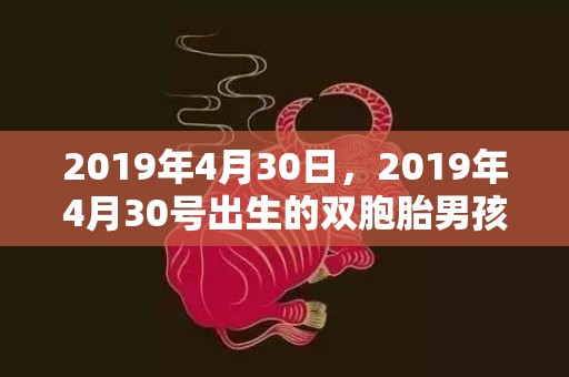 2019年4月30日，2019年4月30号出生的双胞胎男孩起什么名字比较好，五行属什么