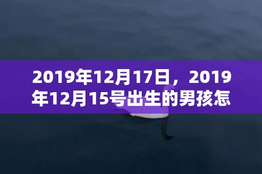 2019年12月17日，2019年12月15号出生的男孩怎么起名字，五行属什么