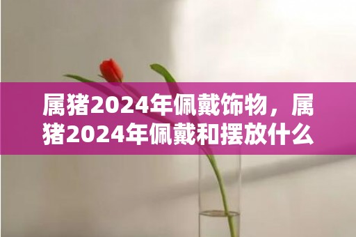 属猪2024年佩戴饰物，属猪2024年佩戴和摆放什么饰品好