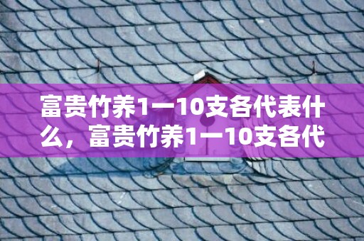 富贵竹养1一10支各代表什么，富贵竹养1一10支各代表什么