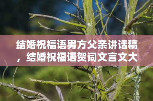 结婚祝福语男方父亲讲话稿，结婚祝福语贺词文言文大全四字短句 结婚贺词文言文