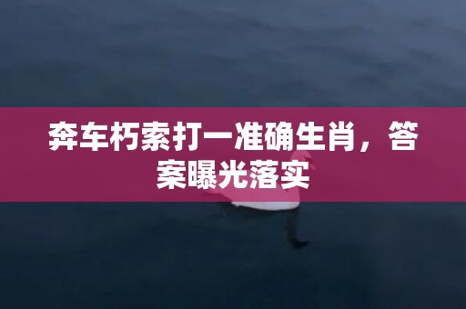 奔车朽索打一准确生肖，答案曝光落实