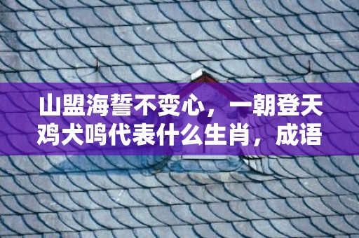 山盟海誓不变心，一朝登天鸡犬鸣代表什么生肖，成语解释落实插图