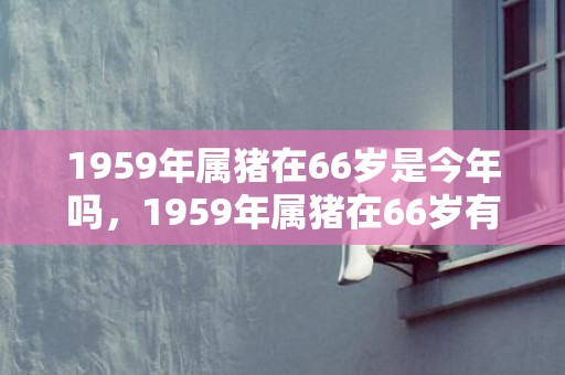 1959年属猪在66岁是今年吗，1959年属猪在66岁有灾难不